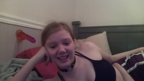 wildflowerofco online show from 25, 1, 2025