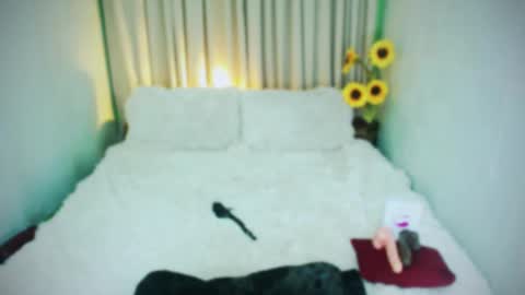 Snapshot of wildhotivana chatting on 29, 1, 2025 ivana online show from 29, 1, 2025