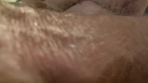 wildinwest online show from 8, 10, 2025