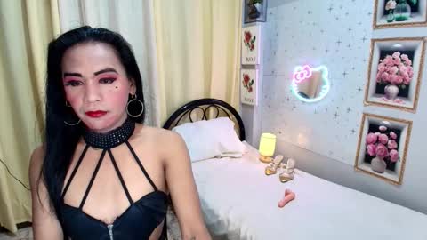 wildnika online show from 29, 9, 2025