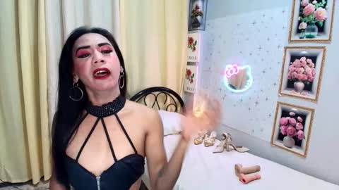 wildnika online show from 5, 10, 2025