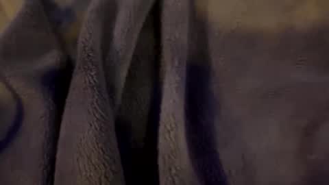 wiley0520 online show from 15, 1, 2026