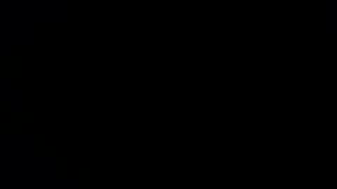 williewants online show from 28, 11, 2025