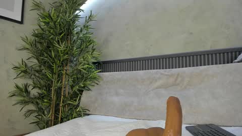 Ms Willow online show from 24, 2, 2025