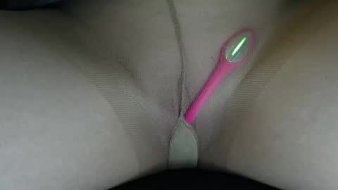 Willow online show from 17, 2, 2026