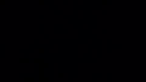 willy_dirk online show from 9, 9, 2025