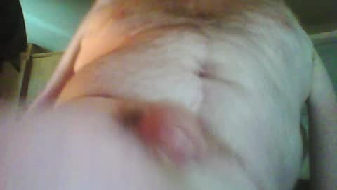 Willy Stroker online show from 25, 4, 2026