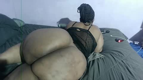 wilmaassylum online show from 26, 1, 2025