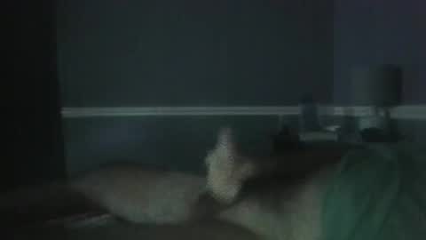 Jerkoff Brad online show from 28, 10, 2025