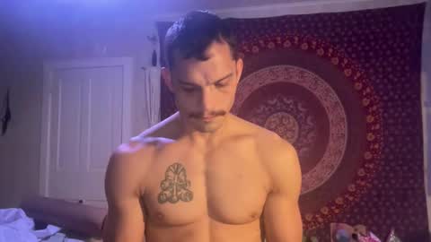 Wolfblazer online show from 28, 1, 2025