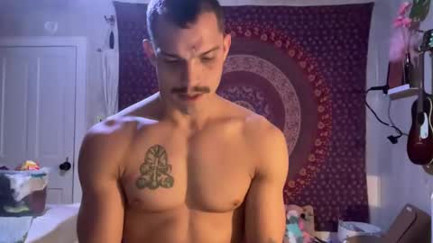 Wolfblazer online show from 2, 2, 2025