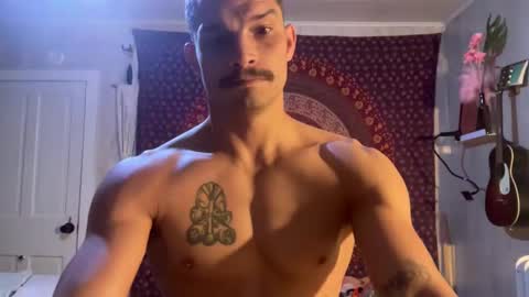 Wolfblazer online show from 10, 2, 2025