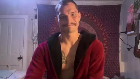 Wolfblazer online show from 12, 2, 2025