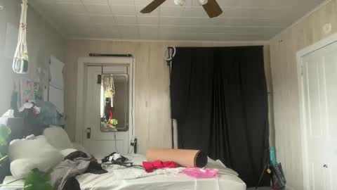 Wolfblazer online show from 20, 2, 2025