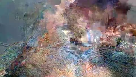 wolf boy online show from 2, 2, 2026