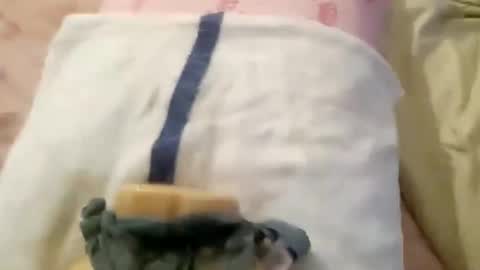 wood6957 online show from 1, 11, 2025