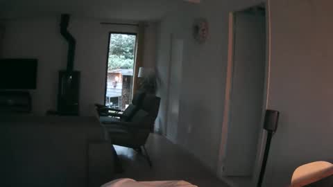 woodwurm and Snoeske online show from 2, 4, 2026