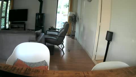 Snapshot of woodwurm chatting on 25, 6, 2026 woodwurm and Snoeske online show from 25, 6, 2026