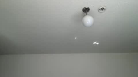 woof_wolf37 online show from 9, 1, 2026