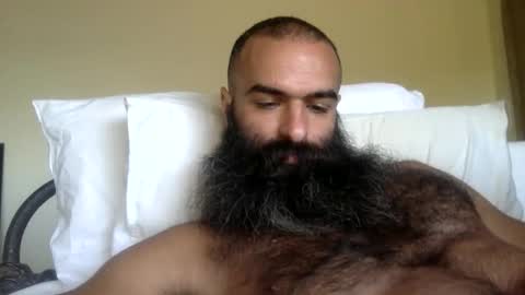 woof_wolf37 online show from 13, 2, 2026