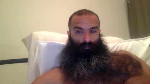 woof_wolf37 online show from 28, 2, 2026