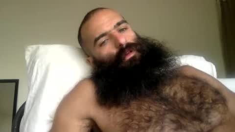 woof_wolf37 online show from 15, 3, 2026