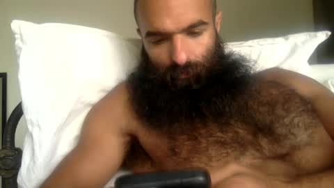 woof_wolf37 online show from 13, 5, 2026