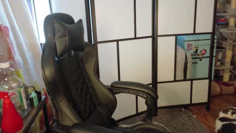 Wyatt online show from 31, 1, 2026