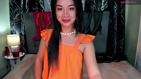 aurora online show from 13, 12, 2024