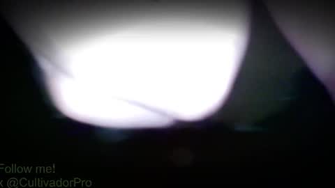 Snapshot of xbalam chatting on 28, 7, 2026 Mr Balax online show from 28, 7, 2026