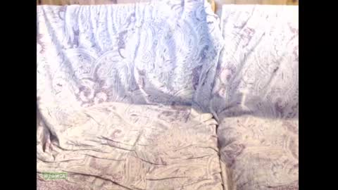 xcockstar online show from 9, 3, 2025