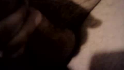 xdreamer online show from 17, 3, 2026