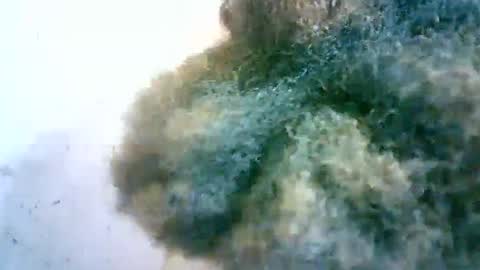 Snapshot of xenna610827 chatting on 20, 2, 2025 xenna610827 online show from 20, 2, 2025