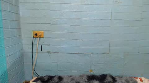 Ask Me Baby  online show from 11, 1, 2025