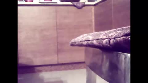 xsoul72 online show from 26, 2, 2025