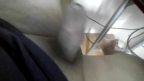 xxenryxx92 online show from 15, 6, 2026