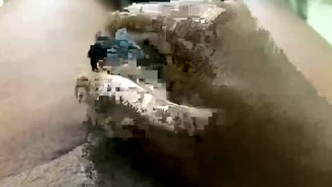 Jhon online show from 12, 3, 2026