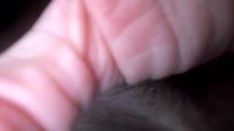 xxx5679333567 online show from 6, 2, 2026