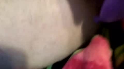 Snapshot of xxxcouplexxx2026 chatting on 4, 4, 2026 XxXCoupleOrgasmicXxX online show from 4, 4, 2026