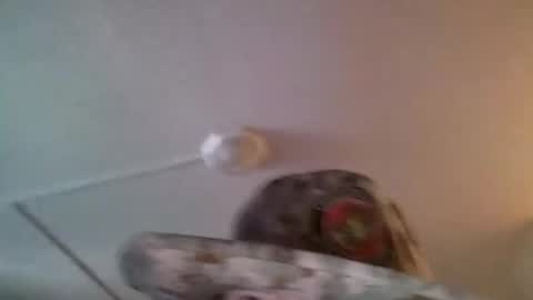 Snapshot of yahushuaha chatting on 9, 9, 2025 yahushuaha online show from 9, 9, 2025