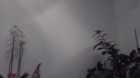 yakijoe online show from 22, 3, 2026