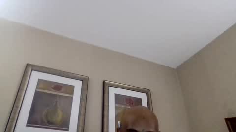 YallFav0rit3couple online show from 8, 4, 2026