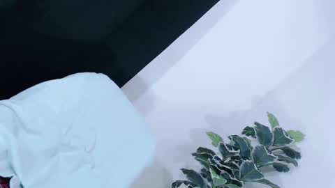 yams_kitty69 online show from 20, 11, 2025