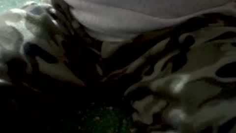 Snapshot of yankee85 chatting on 1, 2, 2026 Yankee online show from 1, 2, 2026