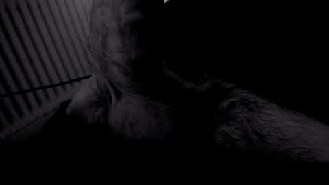 yeasayer online show from 2, 11, 2025