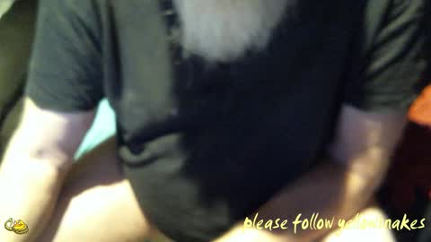 .     y e l l o w s n a k e s       . online show from 20, 10, 2025