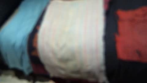 .     y e l l o w s n a k e s       . online show from 9, 11, 2025