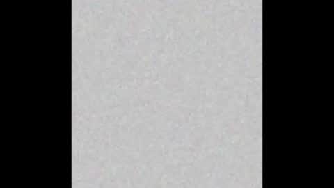 .     y e l l o w s n a k e s       . online show from 16, 11, 2025