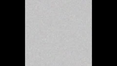 .     y e l l o w s n a k e s       . online show from 30, 11, 2025