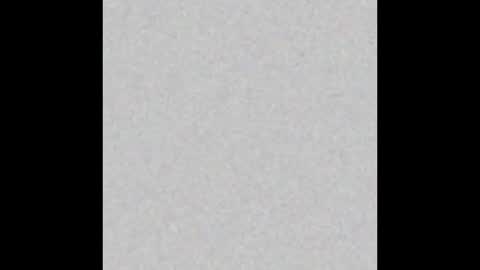 .     y e l l o w s n a k e s       . online show from 2, 2, 2026